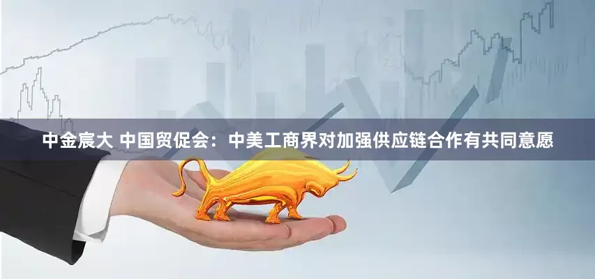 中金宸大 中国贸促会：中美工商界对加强供应链合作有共同意愿