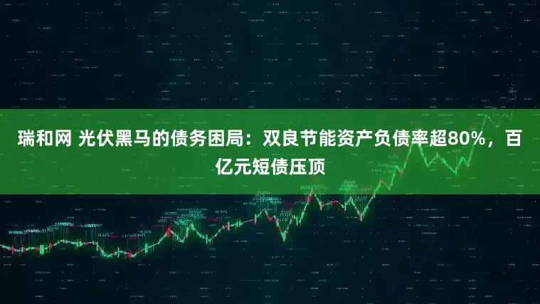 瑞和网 光伏黑马的债务困局：双良节能资产负债率超80%，百亿元短债压顶