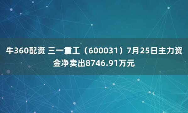 牛360配资 三一重工（600031）7月25日主力资金净卖出8746.91万元