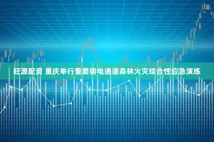 旺源配资 重庆举行重要输电通道森林火灾综合性应急演练