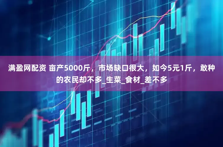 满盈网配资 亩产5000斤，市场缺口很大，如今5元1斤，敢种的农民却不多_生菜_食材_差不多