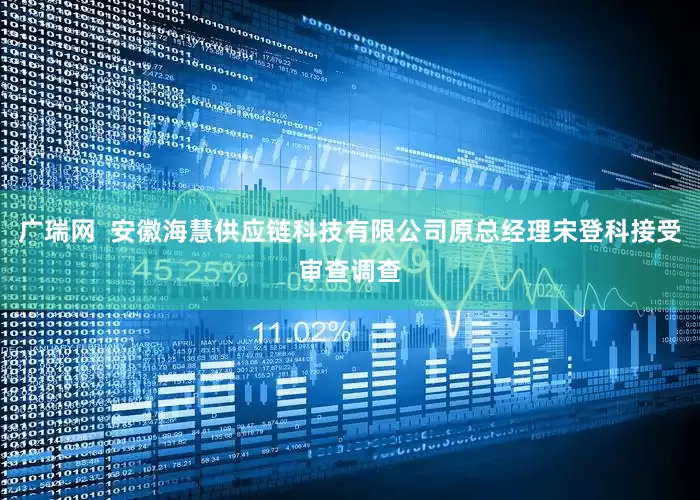 广瑞网  安徽海慧供应链科技有限公司原总经理宋登科接受审查调查
