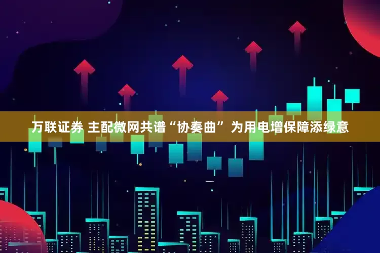 万联证券 主配微网共谱“协奏曲” 为用电增保障添绿意