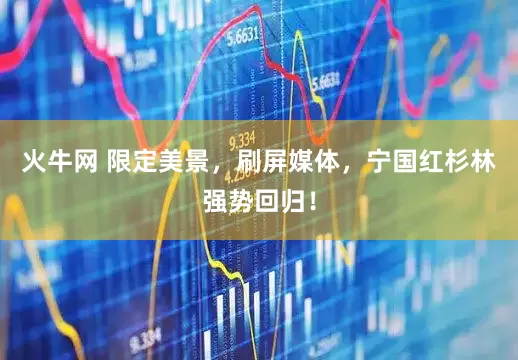 火牛网 限定美景，刷屏媒体，宁国红杉林强势回归！